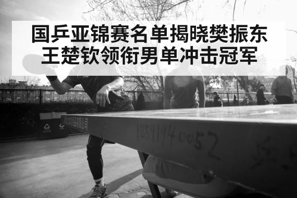 国乒亚锦赛名单揭晓樊振东王楚钦领衔男单冲击冠军
